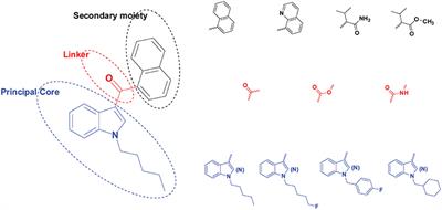 New Synthetic Cannabinoids Metabolism and Strategies to Best Identify Optimal Marker Metabolites